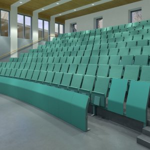 Подлокотники с накладкой из массива